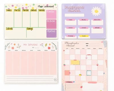 planner de hojas coloridas EE24-15231