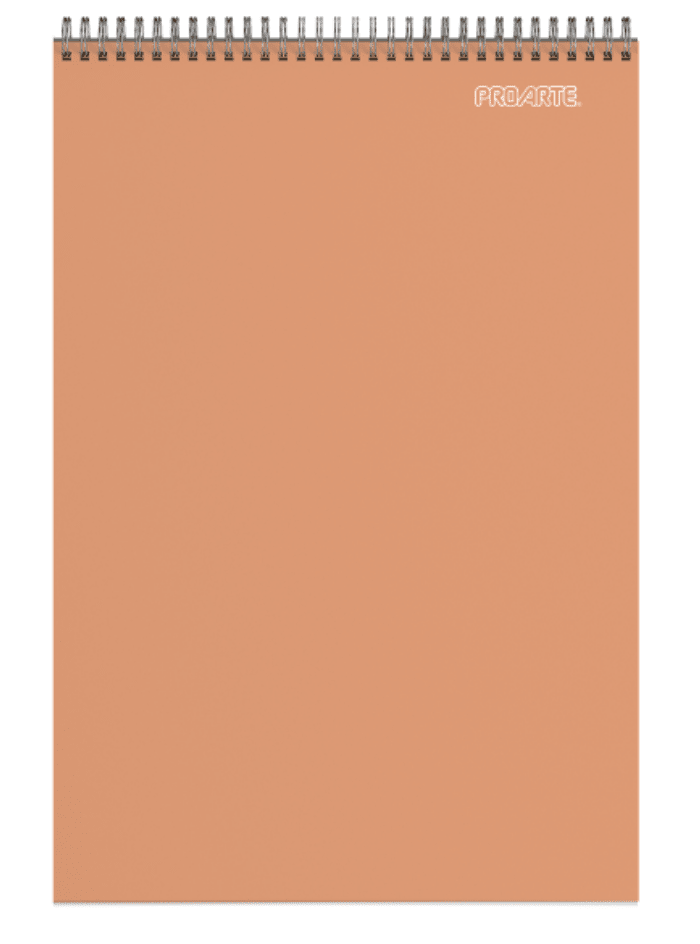 Croquera Proarte pastel 22x27cm3