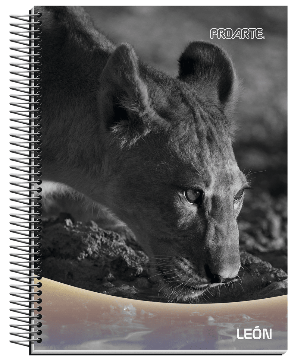 Cuaderno triple Proarte Carta Nature 120hjs 7mm2