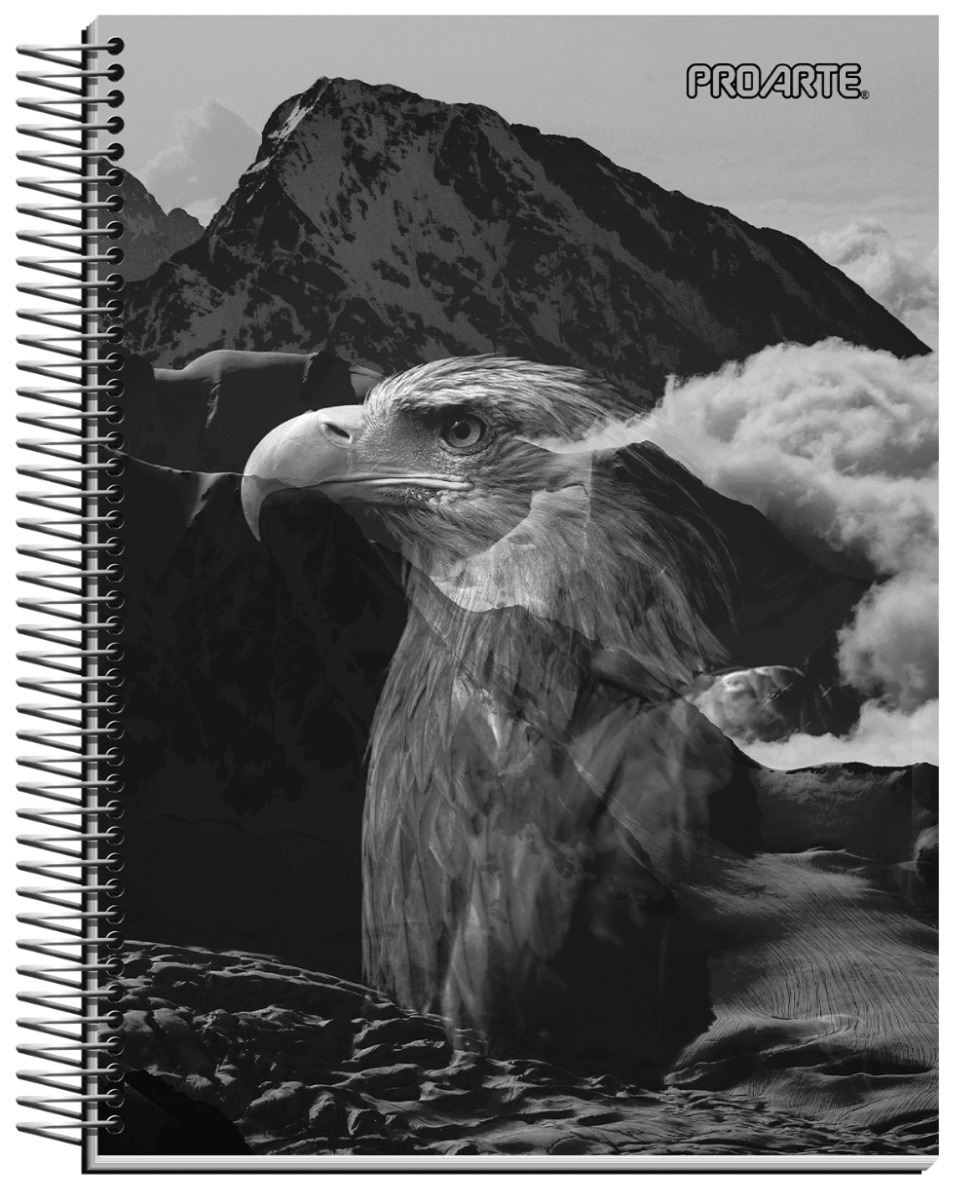 Cuaderno Triple Proarte carta Hombre 120hj 7mm2