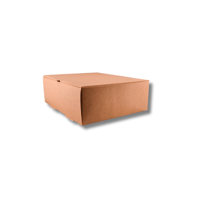 Envase Kraft delivery 5200-A