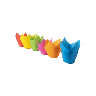 Tulipas, 10 unidades