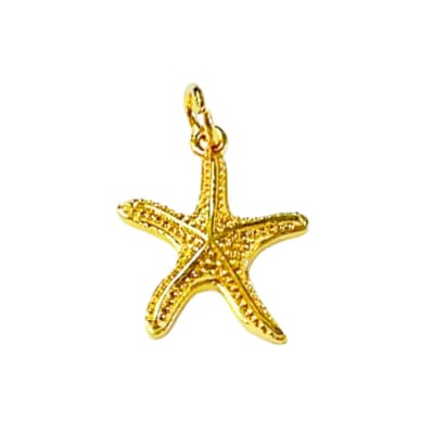 COLGANTE B/O ESTRELLA DE MAR1