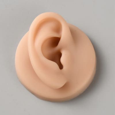 EXHIBIDOR OREJA DERECHA DE SILICONA 6.1x2.75 cm