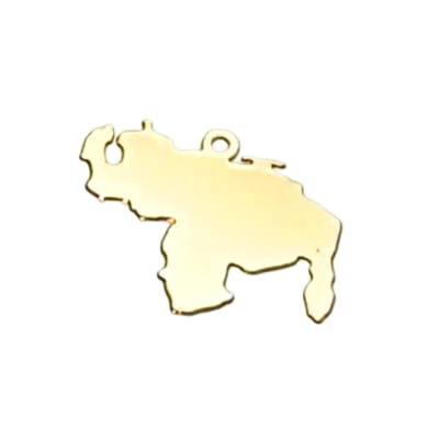 COLGANTE B/ORO MAPA DE VENEZUELA GRD.