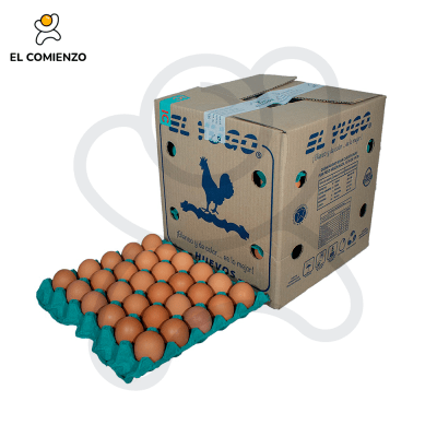 EL YUGO PRIMERA COLOR 180 UNID1