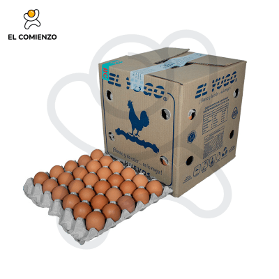 EL YUGO SEGUNDA COLOR 180 UNID