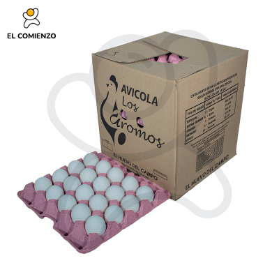 LOS AROMOS JUMBO BLANCO 100 UNID