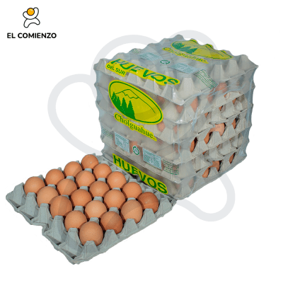 DEL SUR JUMBO COLOR 100 UNID