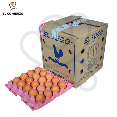 EL YUGO JUMBO COLOR 100 UNID