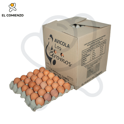LOS AROMOS SUPER COLOR 180 UNID1