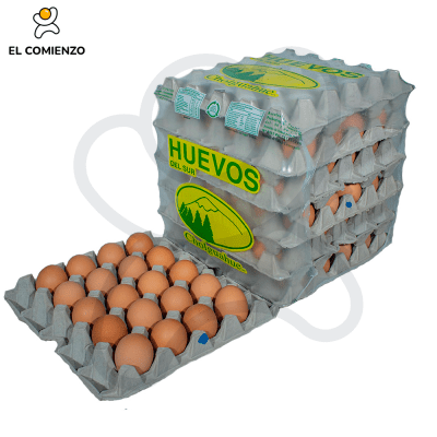 DEL SUR SUPER COLOR 100 UNID