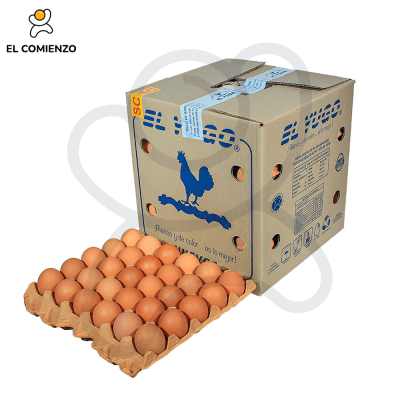 EL YUGO SUPER COLOR 180 UNID1