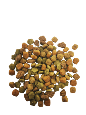 Dog chow GRANEL adultos raza pequeña 1 kg1