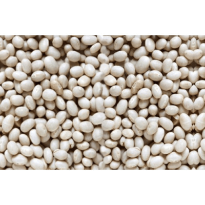 Frijol panamito a GRANEL x 500 gr1