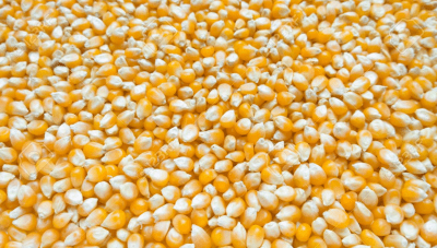 Pop corn a GRANEL x 500 gr.