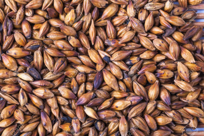 Cebada tostada a GRANEL x 500 gr.1