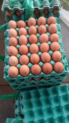 La Calera Huevos Pardos GRANEL kg