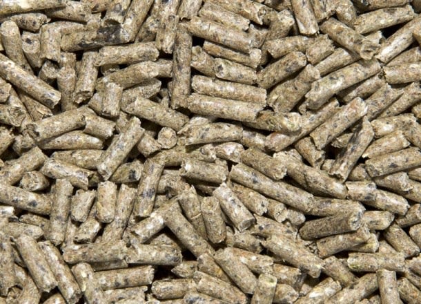 Conejina granel ''Molideim'' 1 kg