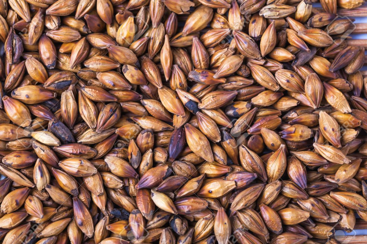 Cebada tostada a GRANEL x 500 gr.