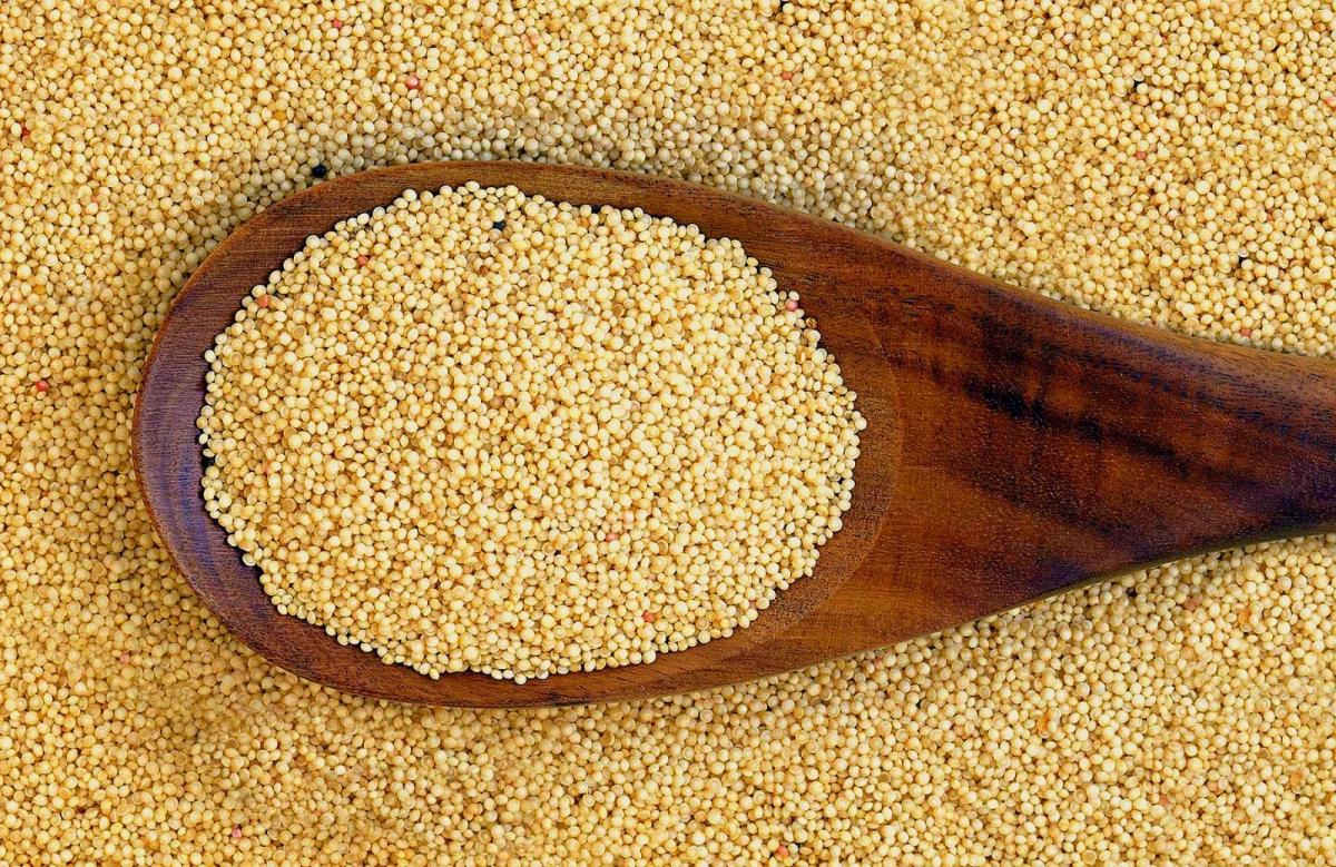 Kiwicha a GRANEL x 500 gr.