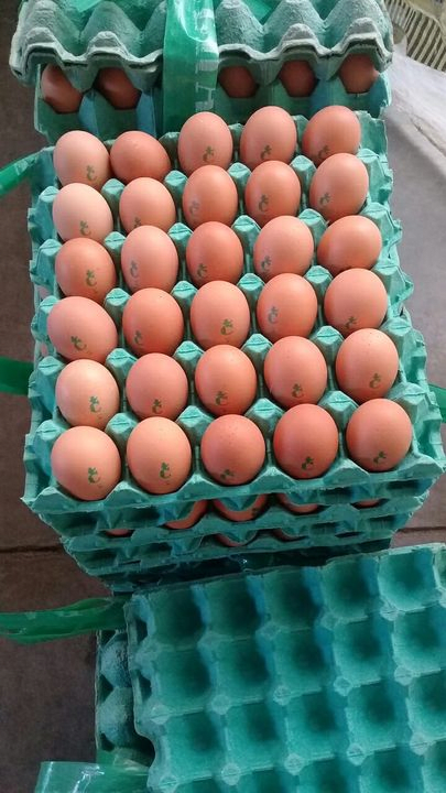 La Calera Huevos Pardos GRANEL kg