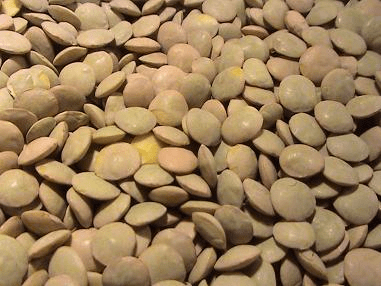 Lenteja a GRANEL x 500 gr