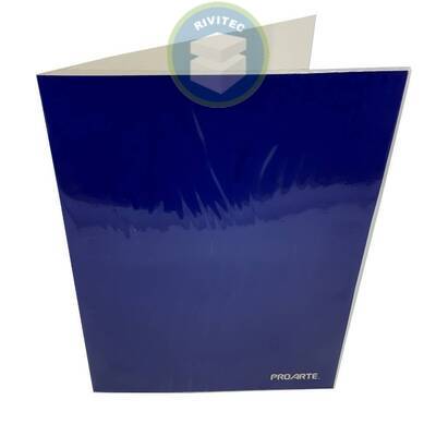 CARPETA PROARTE CON GUSANO COLOR AZUL