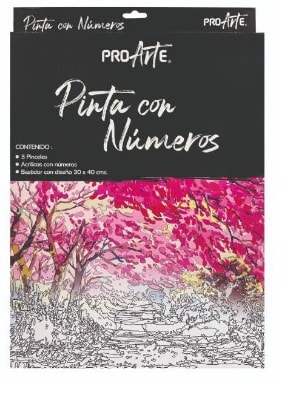 PINTA CON NUMEROS 30X40