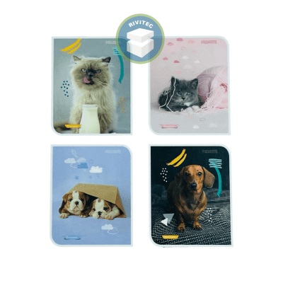 CUADERNO OCTAVA PROARTE ANIMALES