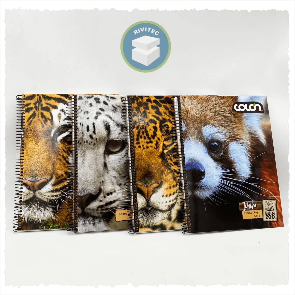 CUADERNO 150 HOJAS BUIN ZOO1