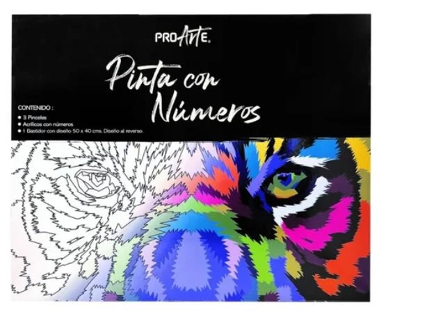 PINTA CON NUMEROS 40X501