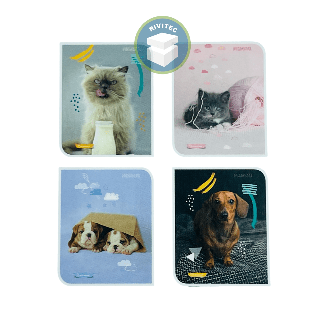 CUADERNO OCTAVA PROARTE ANIMALES1