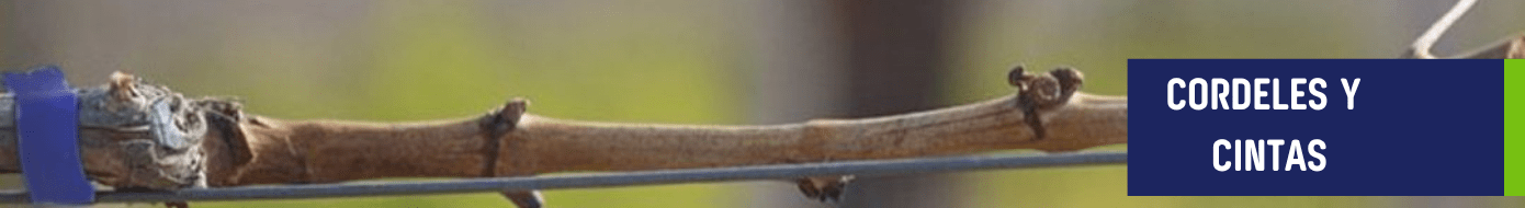 Cordeles Y Cintas 