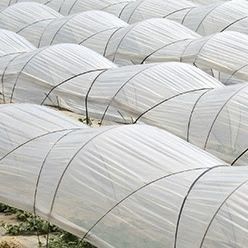 TUNELILLO 1.40X75MIC 2T - RLL