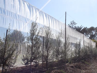 CORTA VIENTO LIBECCIO 50% 4X100 MTS - RLL1