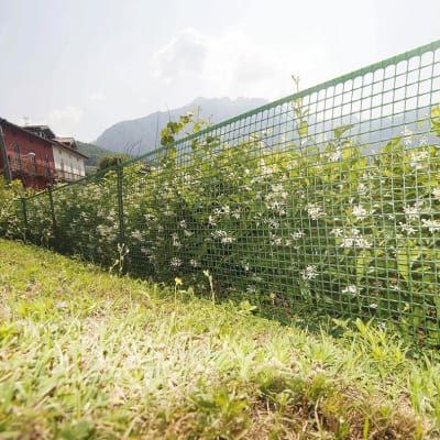 CERCO JARDIN CUADRADO VERDE 1X50 MTS - RLL