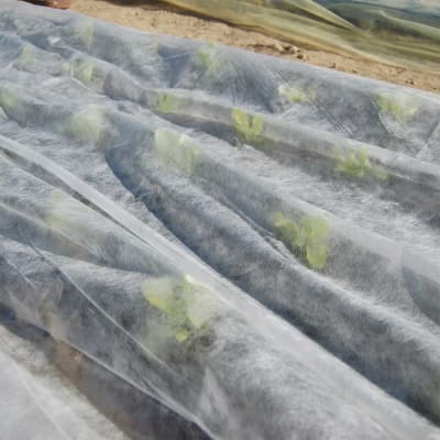 ANTIHELADAS 2X500 MTS - RLL