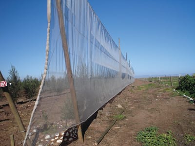 CORTA VIENTO 6X6 4X200 MTS - RLL