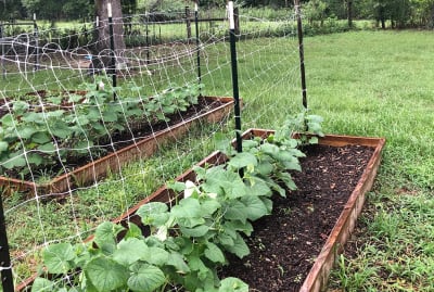 ENTUTORADO 5 CUAD 0,85X1000 TE - RLL