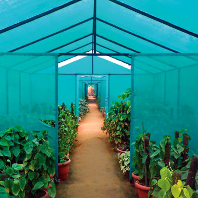 RASCHEL 90% 4,20X100 VERDE NA - RLL