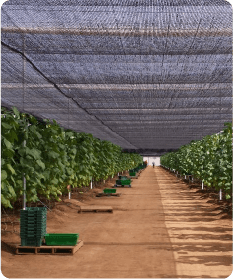 Malla raschel negra 2 - 11