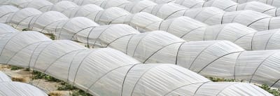 TUNELILLO 1.40X75MIC 2T - RLL