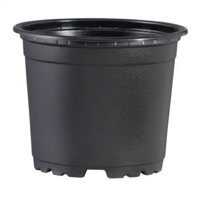 MACETA TERMOF NEGRA VCD 22 - PACK 25 UNID.