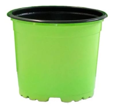 MACETA TERMOF VERDE VCG 13 - PACK 100 UNID.