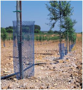 PROTECTOR DE ÁRBOL 20CMX100M - RLL