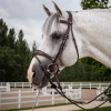PARA EL CABALLO
