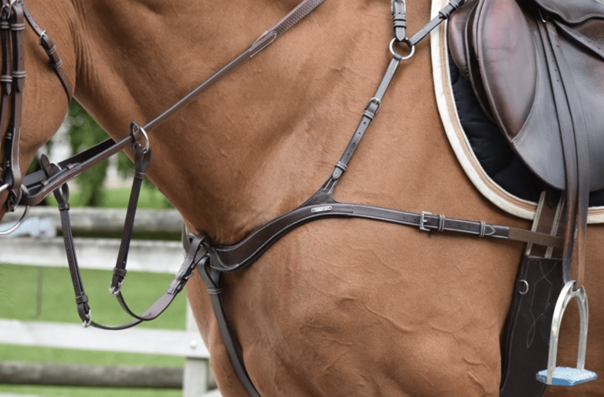 Riendas Web Con Hebillas, 5 Paradas, Tapón De Martingala