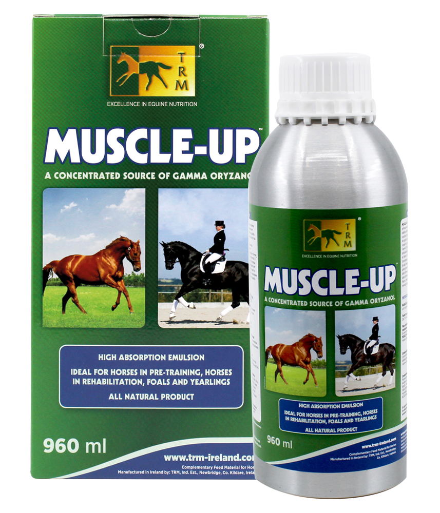 Muscle Up Equipremium