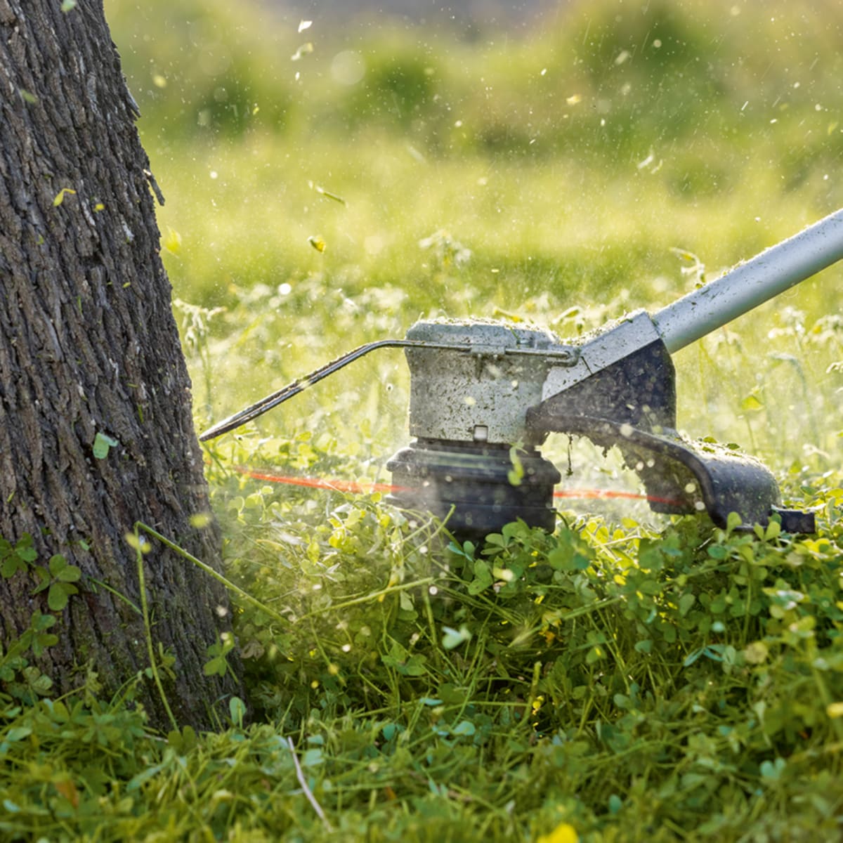 Desbrozadora Bosch GRT 18V-33 + Bat 8Ah + Carg – 0615.A00.2BF5